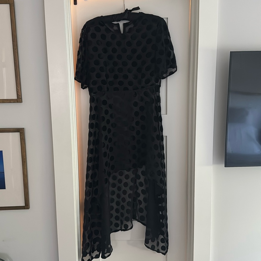 ZARA Sheer Polka Dot Hi Low Dress Top